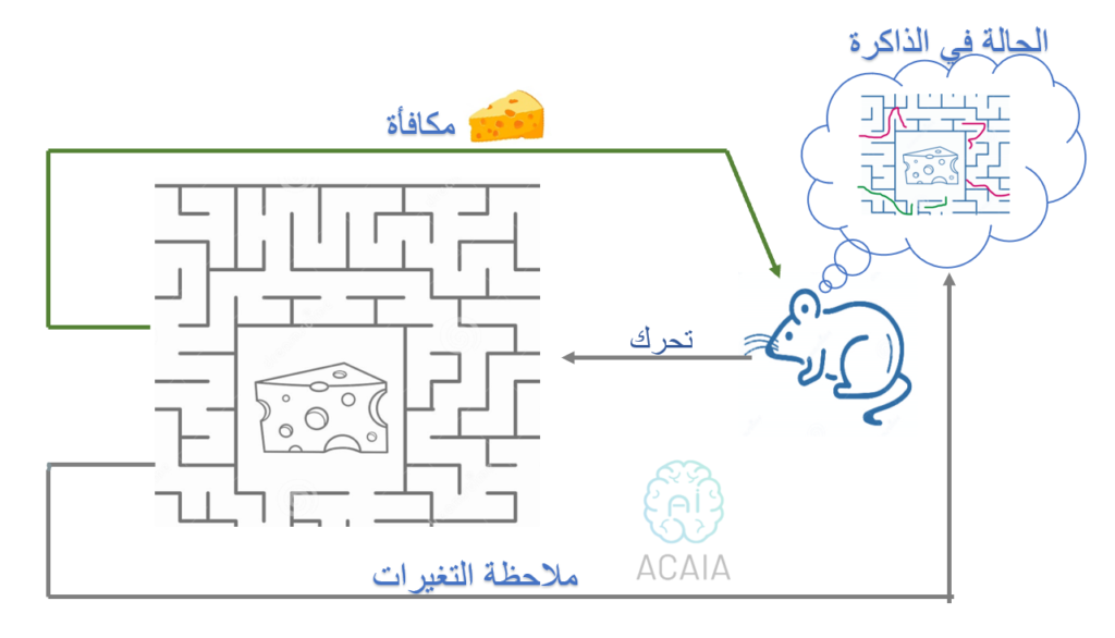 Rainforcement_rate_maze_cheese2